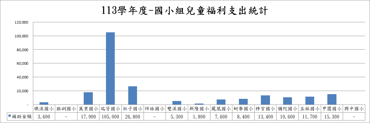 113學年度國小組兒童福利支出統計